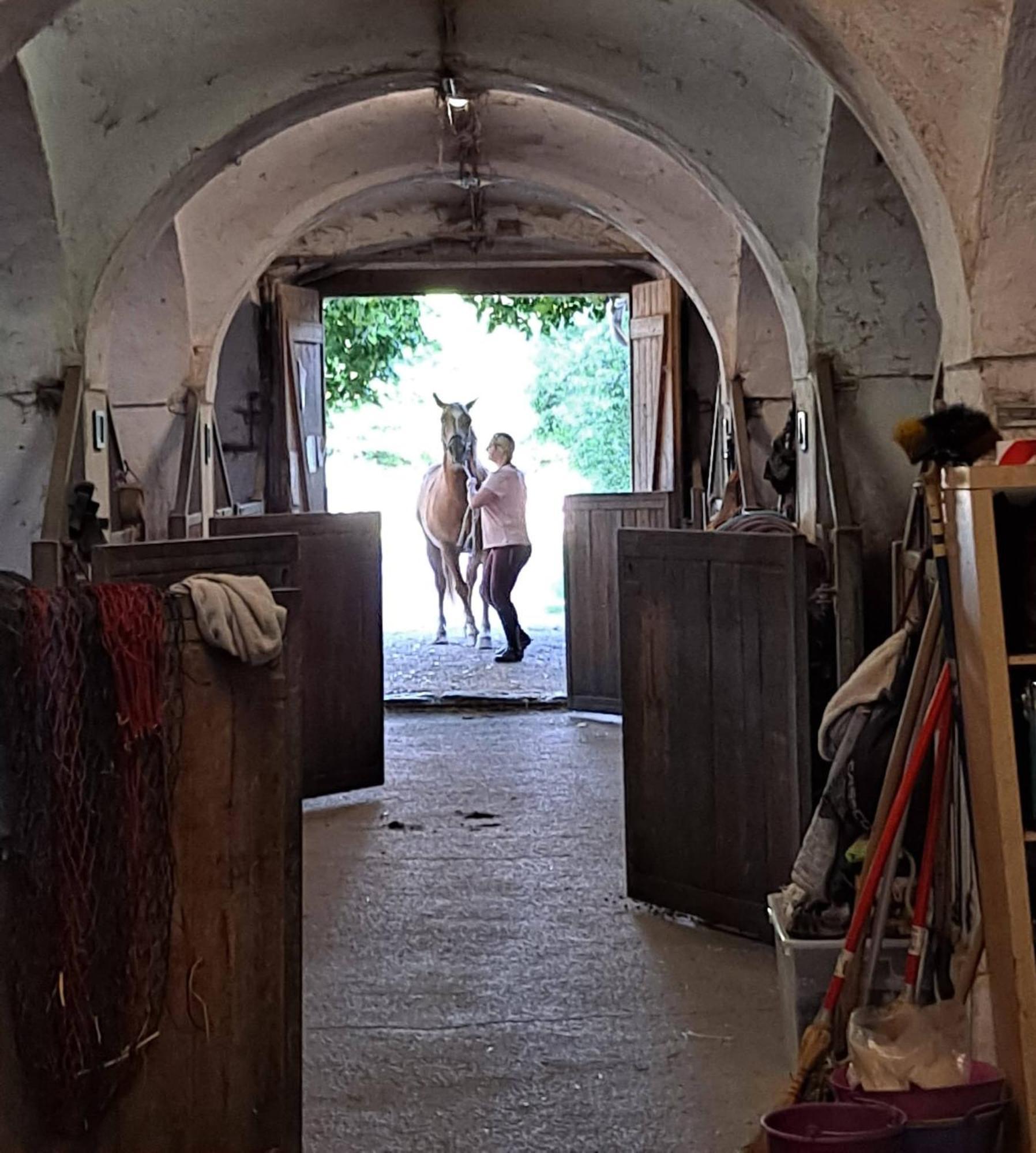 Ferienwohnung Ottmanach Josefhof Pischeldorf Екстер'єр фото