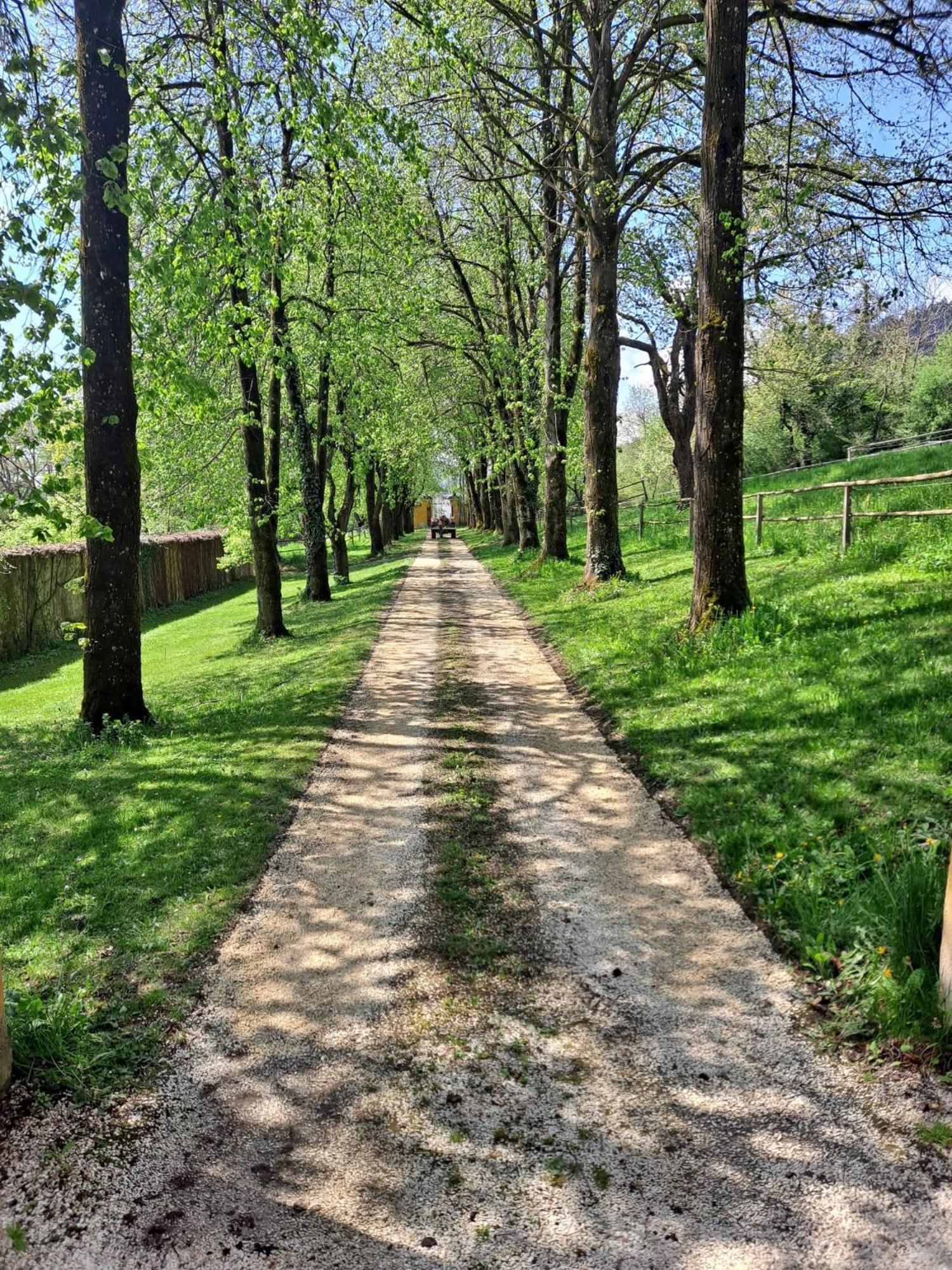 Ferienwohnung Ottmanach Josefhof Pischeldorf Екстер'єр фото